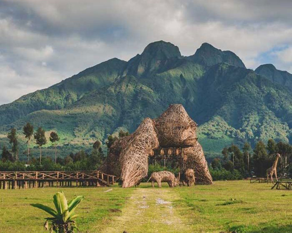 2 Days Volcanoes National Park Rwanda